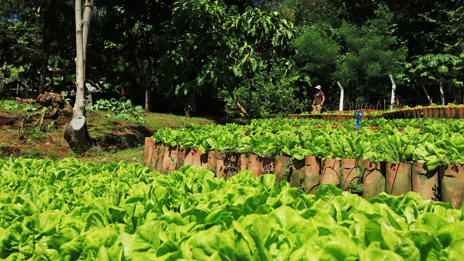 Pousada do Vale - Foto 5